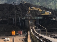 Pictures and Videos for Coal Loading and Import