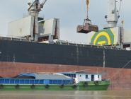 Do-hang-tu-Tau-Me-xuong-Xa-Lan2.jpg