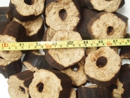 TRAU-SIZE-6-CM.jpg